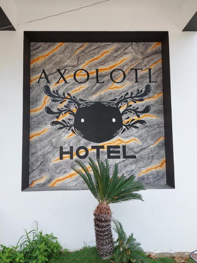 Hotel Axolotl Пуерто Ескондидо Екстериор снимка